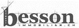 Besson Immobilier SA