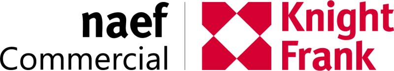 Naef Investissement & Commercial